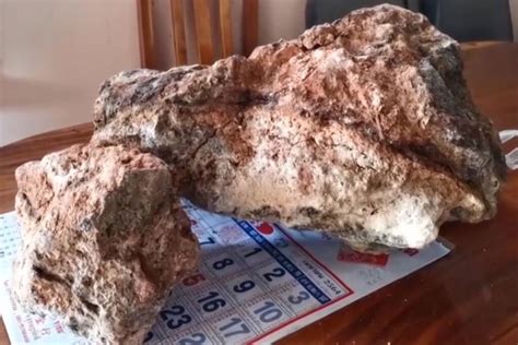 'Whale vomit' windfall could net Thai fisherman up to $1.2 million.